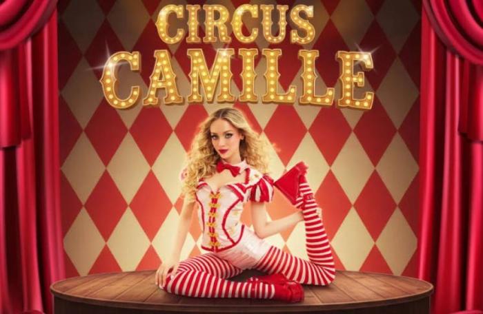 Circus Camille Zoektocht
